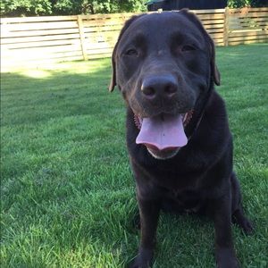 Meet your Posher, Jayne